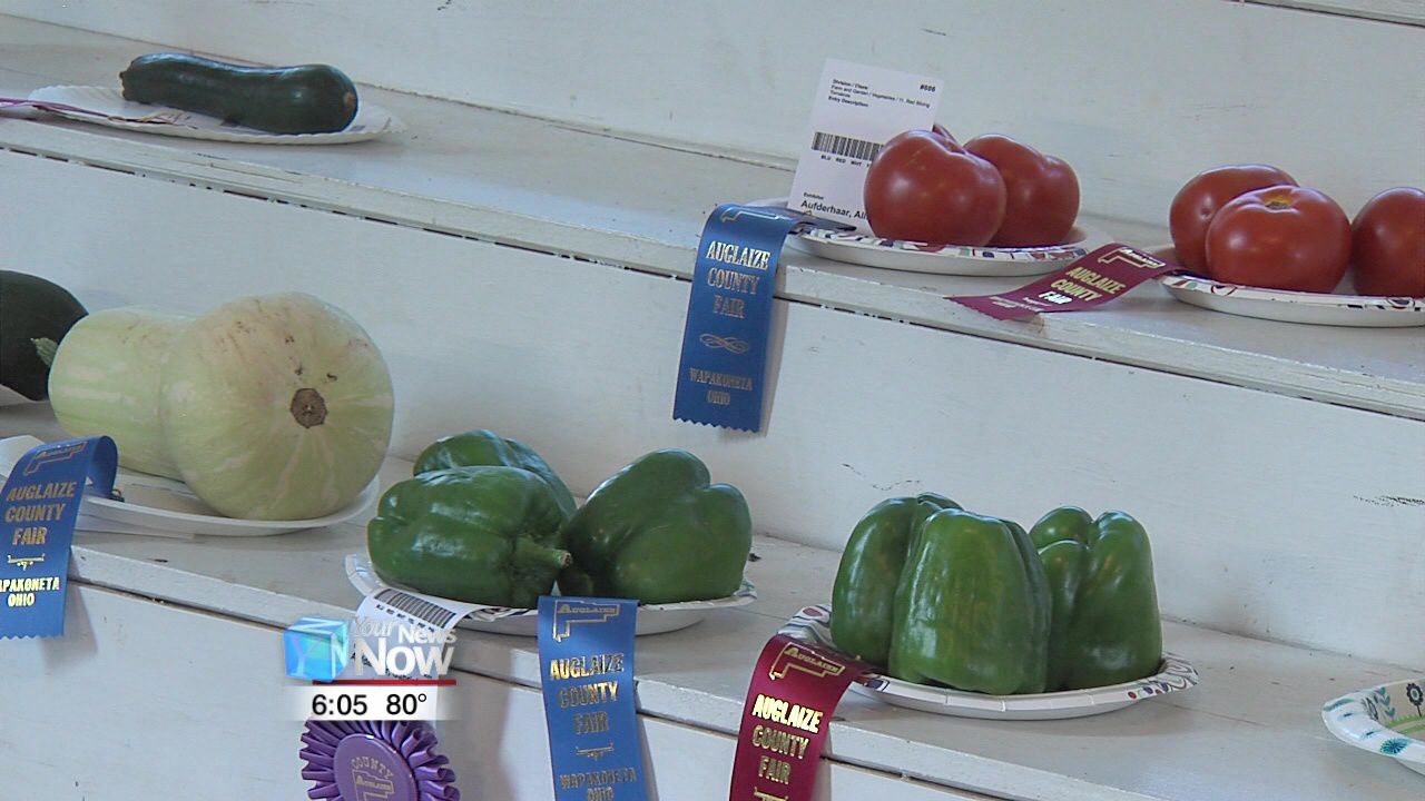 Fruits and veggies lacking for Auglaize County Fair competitions 1.jpg